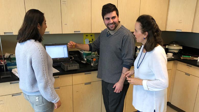 Three people conducting research by computer screen