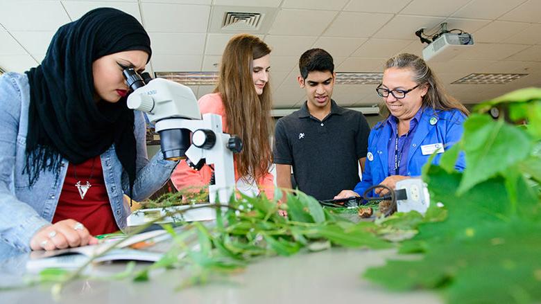 students working in the lab together